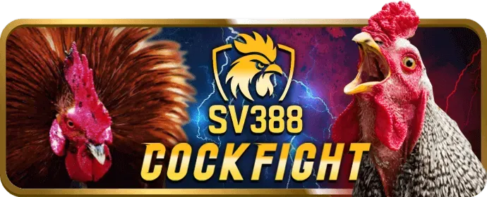 Ưu Đãi Mới Nhất km1888